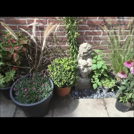 Mini 30 M2 With In The Hart Of Apartment